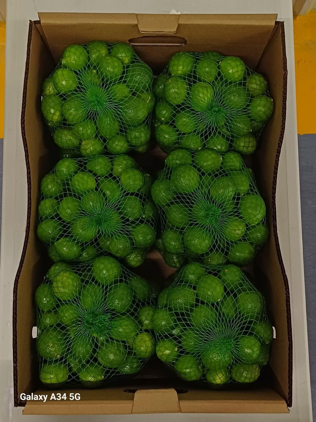 Fresh, Zesty Limes from Oaxaca