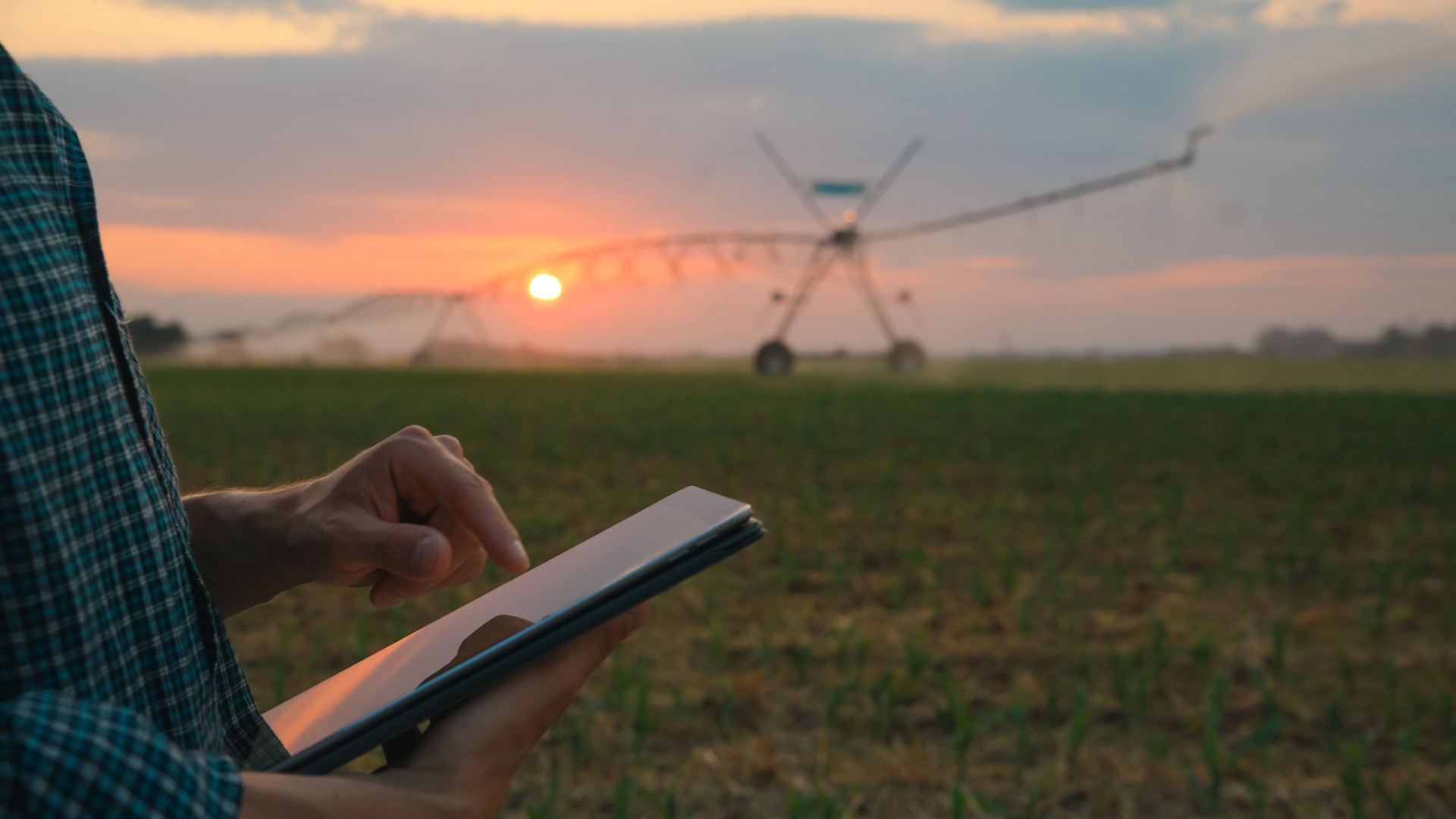 Caucasian Farmer with Tablet at Sundown in Corn Field