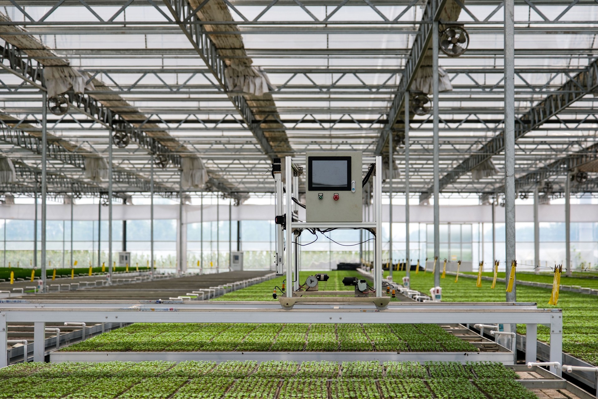 Automatic mechanical equipment in the vegetable seedling base